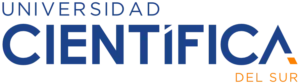 Entidad 1